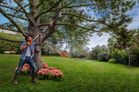 Цепная пила безопасная электрическая WORX JawSaw WG307E 220V, 600Вт, 15см