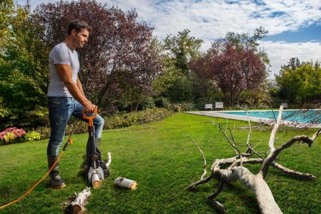 Цепная пила безопасная электрическая WORX JawSaw WG307E 220V, 600Вт, 15см