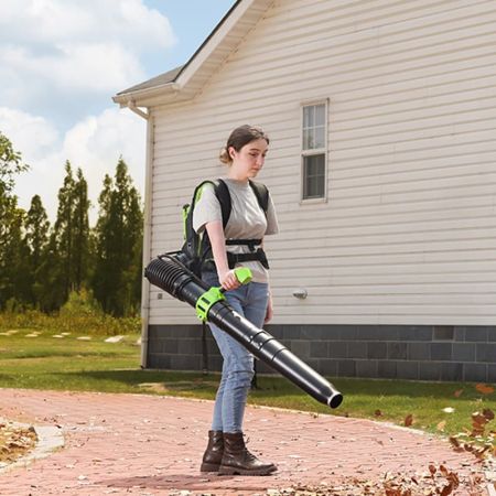 Ранцевая воздуходувка аккумуляторная GREENWORKS GD40BPG2, 40V, бесщеточный