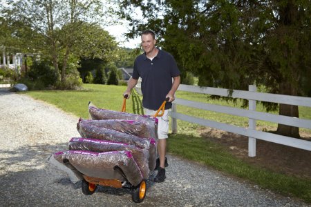 Садовая тележка WORX WG050 Aerocart